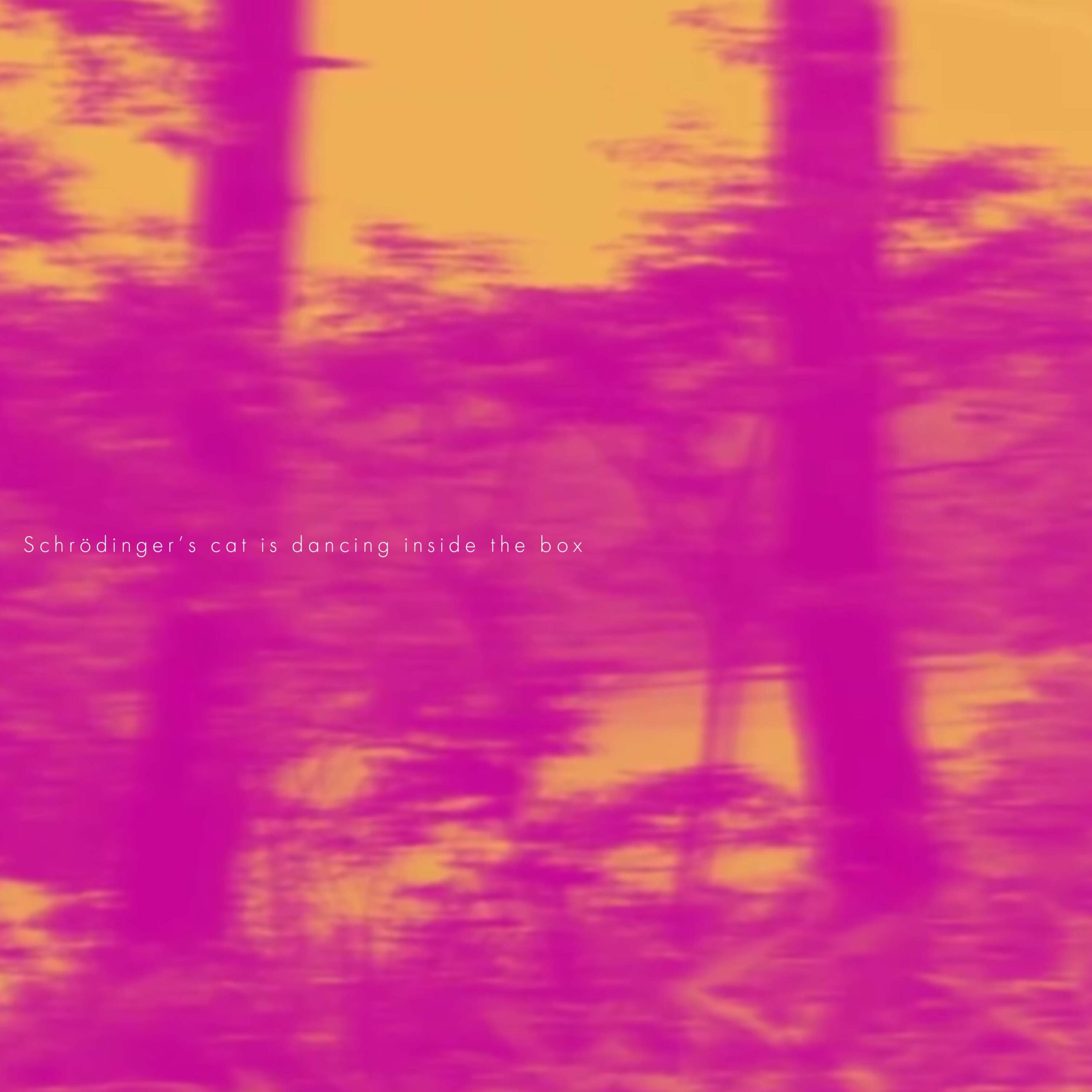 シュレーディンガーの猫は箱の中で踊っている