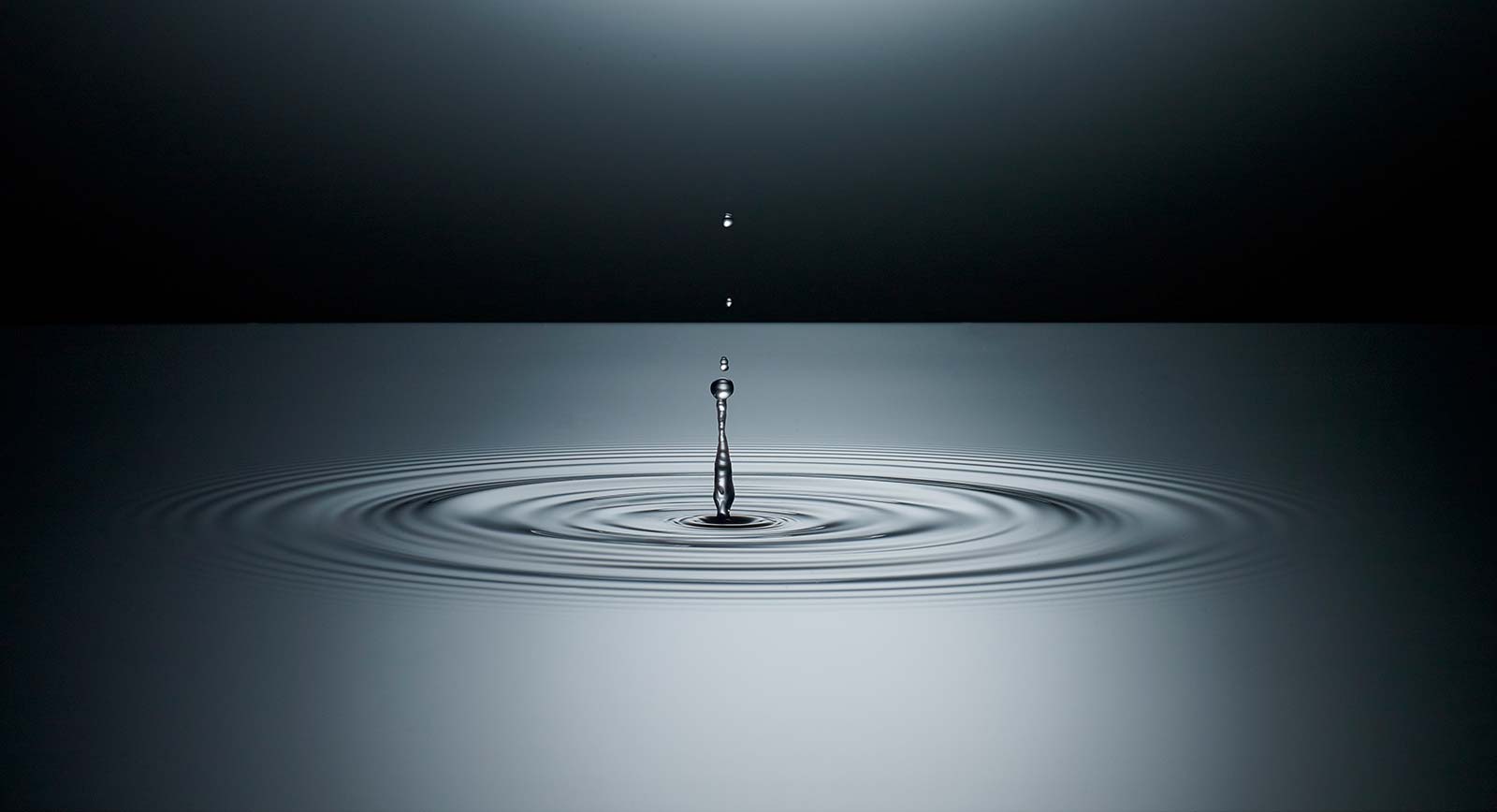 アーキタイプのリリース