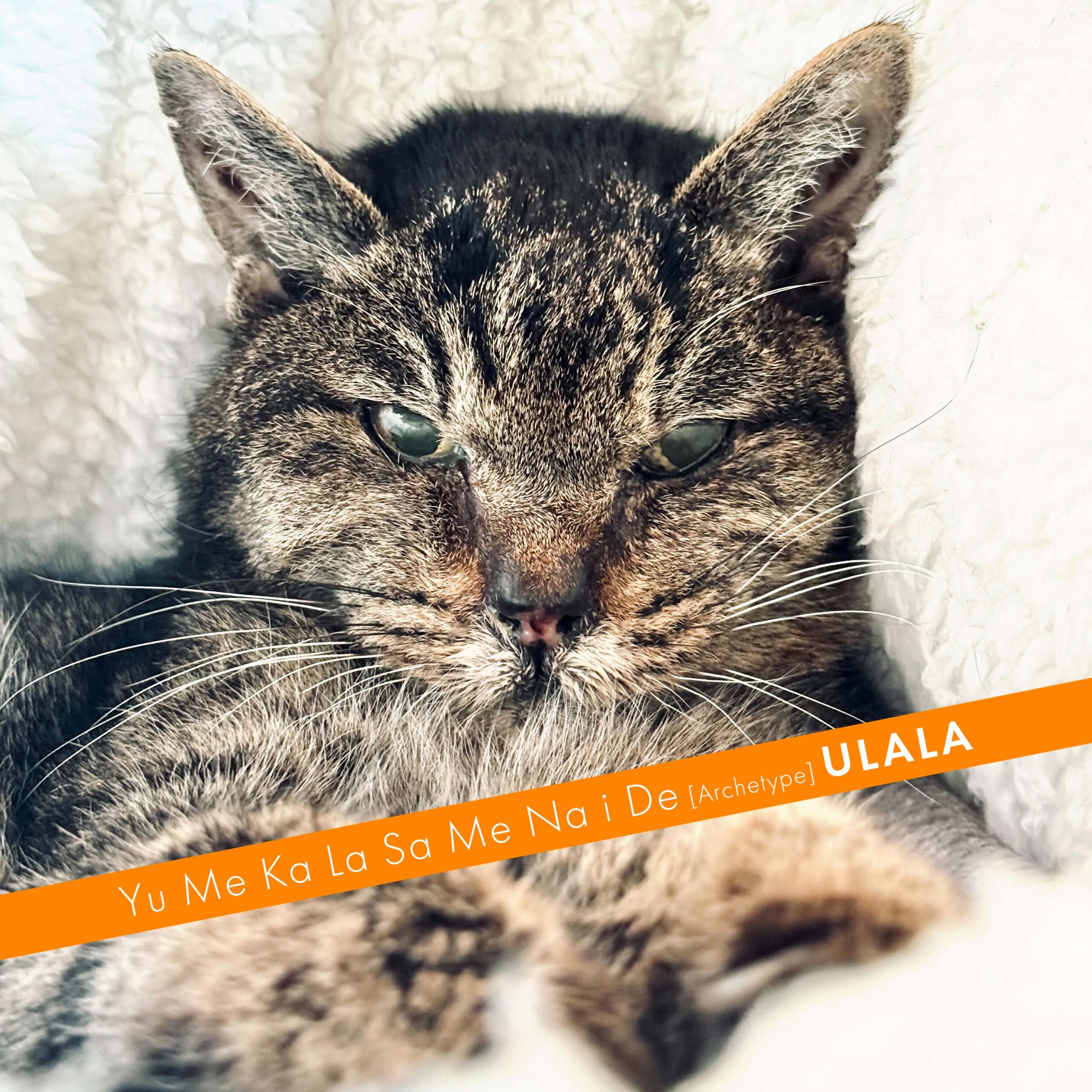 ユメカラサメナイデ[Archeype]リリース決定！