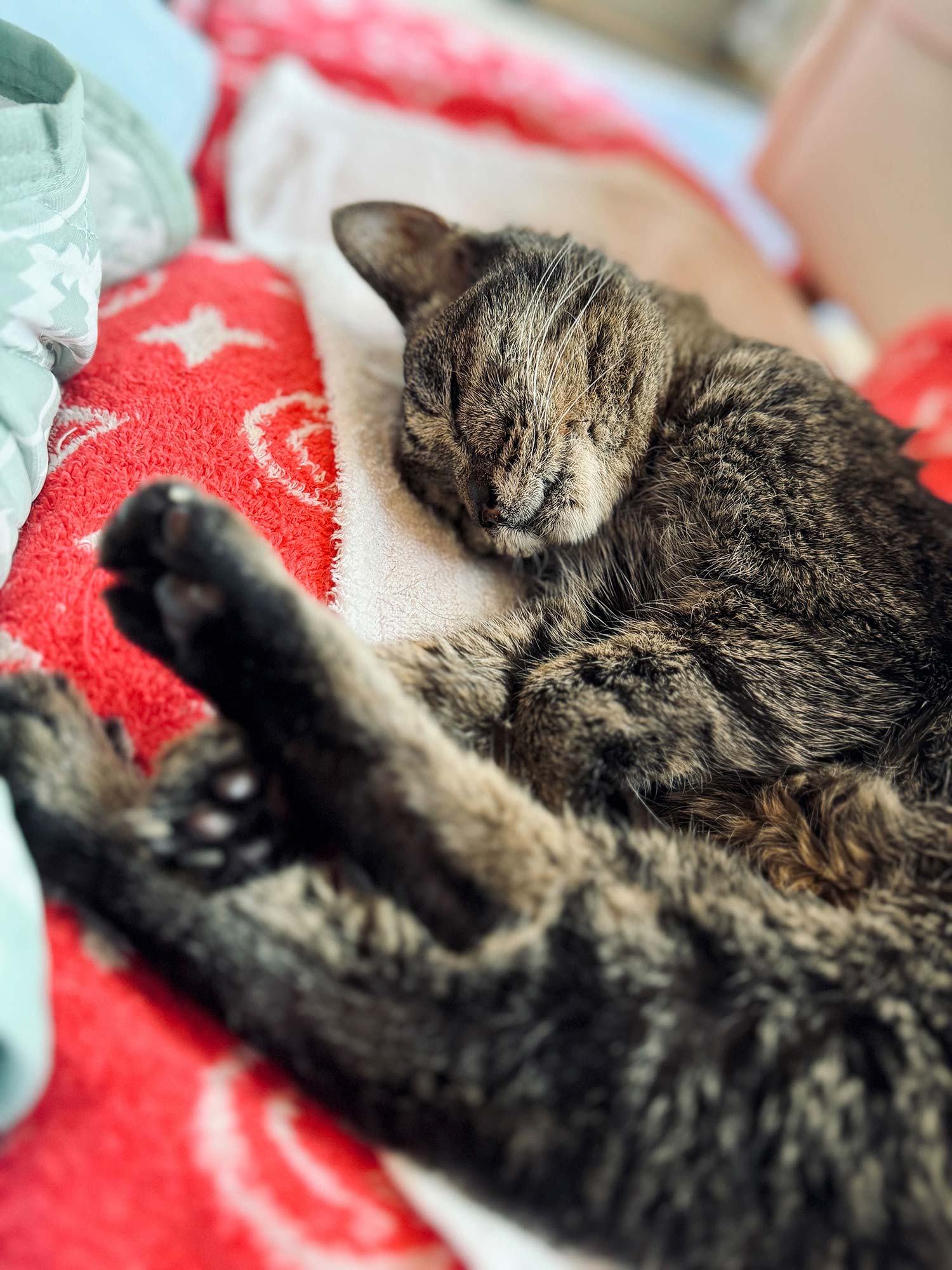 永遠の創り方：ユメカラサメナイデ